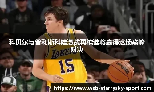 星空体育官网入口